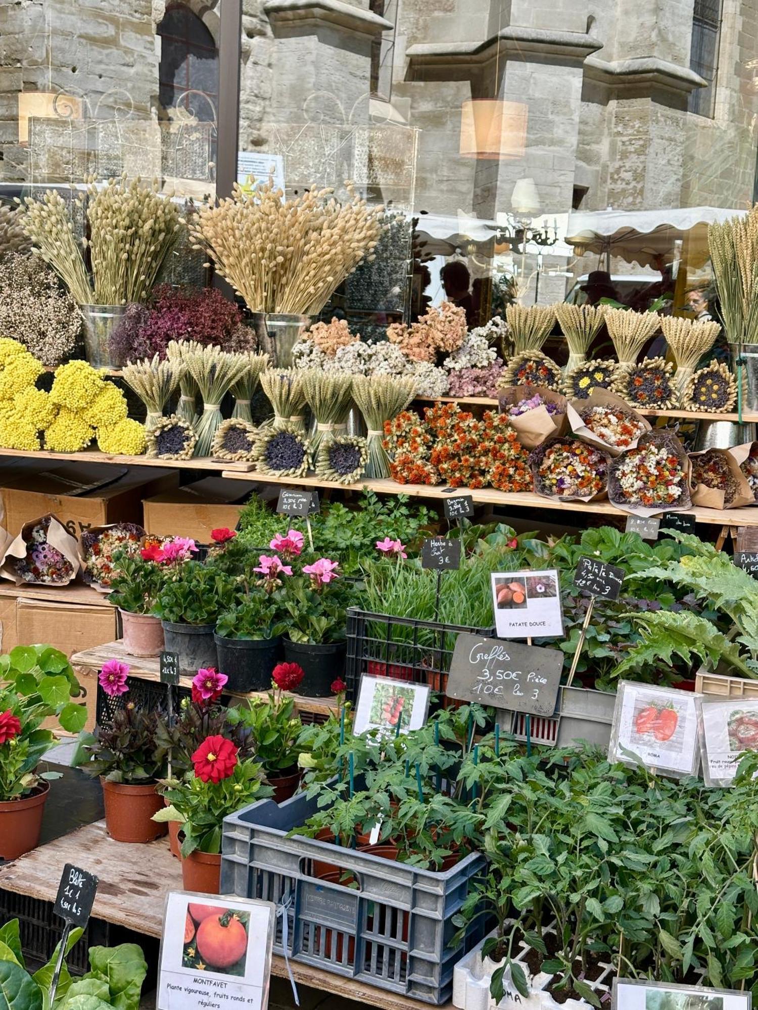 LʼIsle-sur-la-Sorgue L Atelier De La Sorgue 아파트 외부 사진